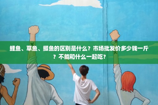 鲤鱼、草鱼、鲫鱼的区别是什么？市场批发价多少钱一斤？不能和什么一起吃？