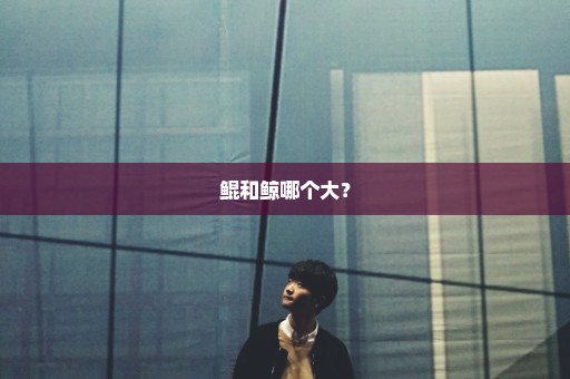 鲲和鲸哪个大？