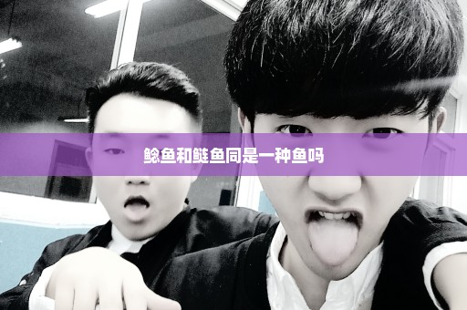 鲶鱼和鲢鱼同是一种鱼吗