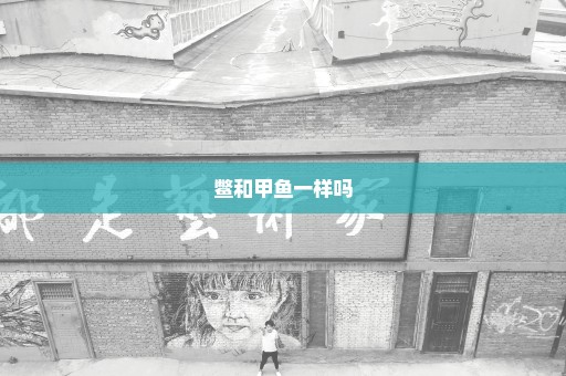 鳖和甲鱼一样吗