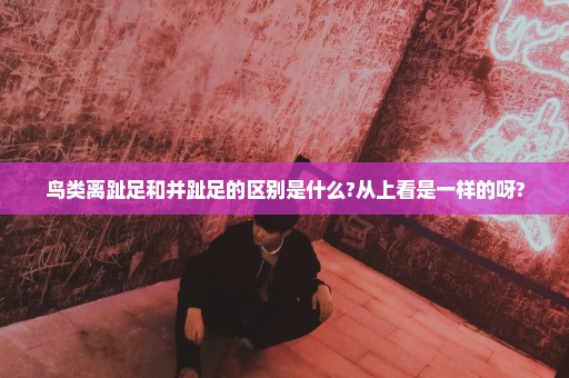 鸟类离趾足和并趾足的区别是什么?从上看是一样的呀?