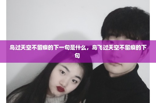 鸟过天空不留痕的下一句是什么，鸟飞过天空不留痕的下句 