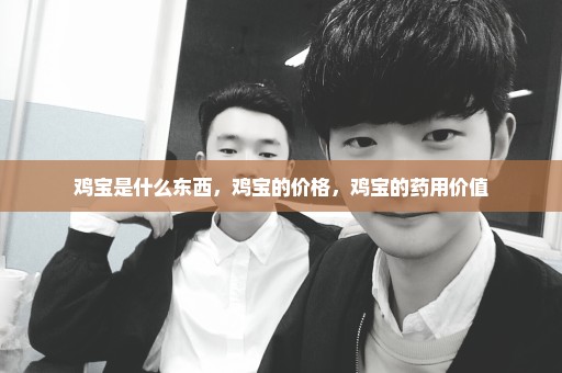 鸡宝是什么东西，鸡宝的价格，鸡宝的药用价值