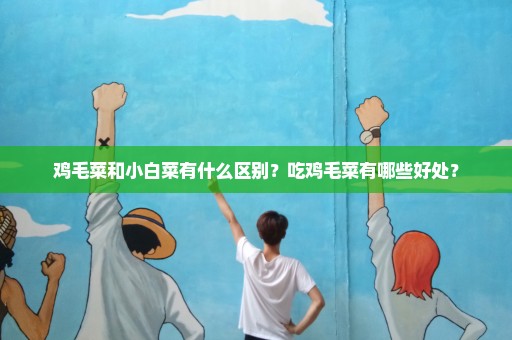 鸡毛菜和小白菜有什么区别？吃鸡毛菜有哪些好处？
