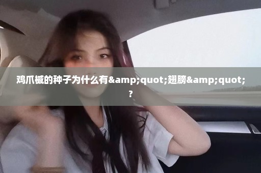 鸡爪槭的种子为什么有"翅膀"?