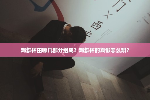 鸡缸杯由哪几部分组成？鸡缸杯的真假怎么辨？
