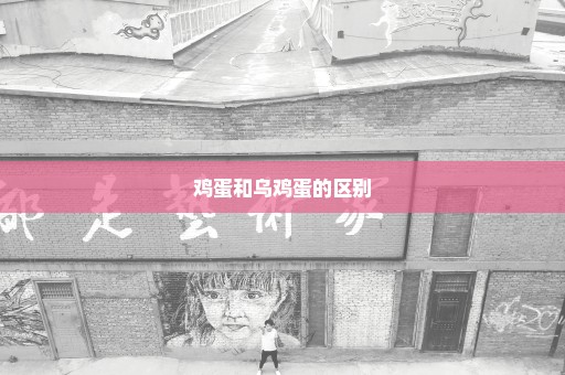 鸡蛋和乌鸡蛋的区别