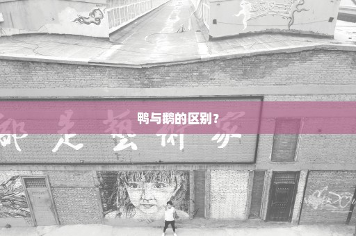 鸭与鹅的区别？