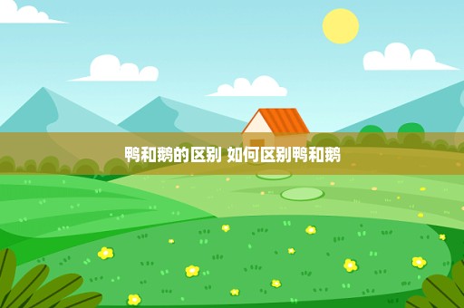 鸭和鹅的区别 如何区别鸭和鹅