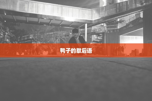 鸭子的歇后语