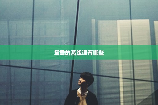 鸳鸯的燕组词有哪些