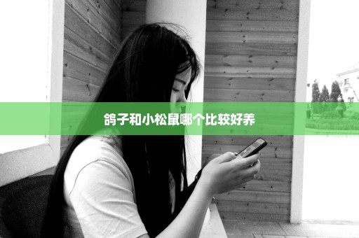 鸽子和小松鼠哪个比较好养
