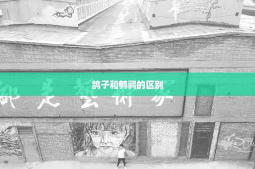 鸽子和鹌鹑的区别