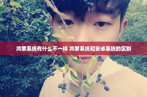 鸿蒙系统有什么不一样 鸿蒙系统和安卓系统的区别