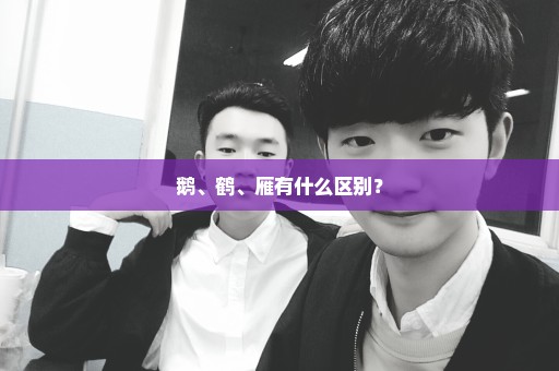 鹅、鹤、雁有什么区别？