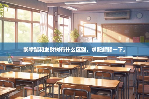 鹅掌柴和发财树有什么区别，求配解释一下。