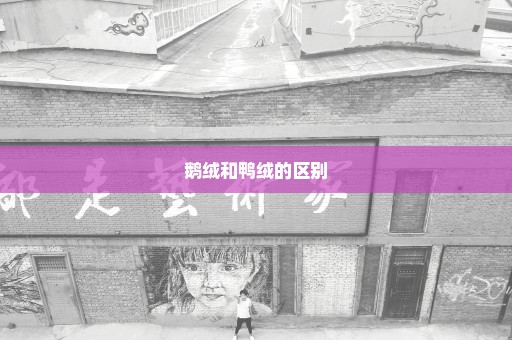鹅绒和鸭绒的区别
