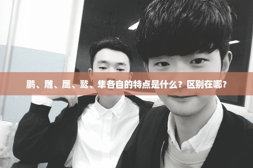 鹏、雕、鹰、鹫、隼各自的特点是什么？区别在哪？