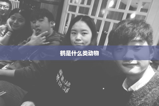 鹤是什么类动物