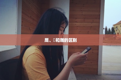 鹰、凖和雕的区别