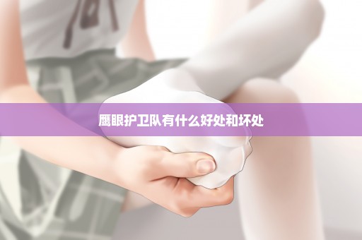 鹰眼护卫队有什么好处和坏处