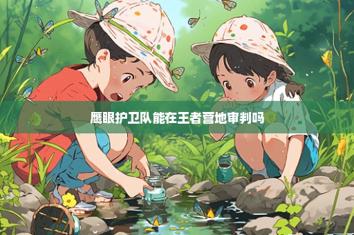 鹰眼护卫队能在王者营地审判吗
