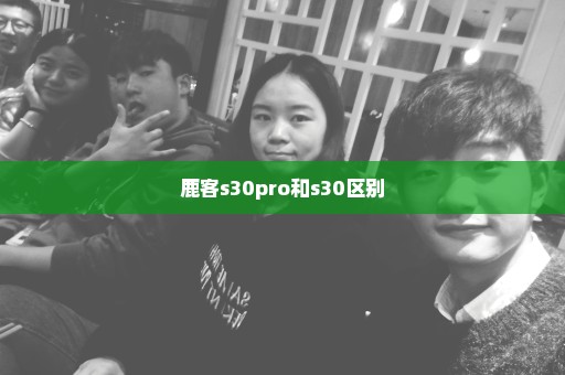 鹿客s30pro和s30区别