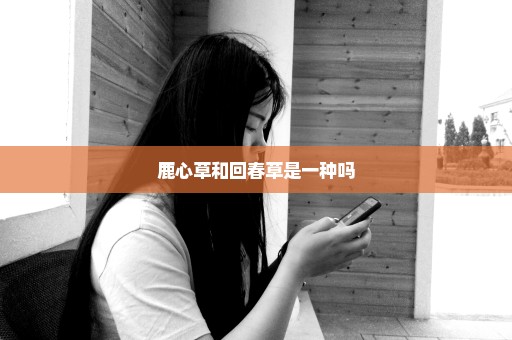 鹿心草和回春草是一种吗