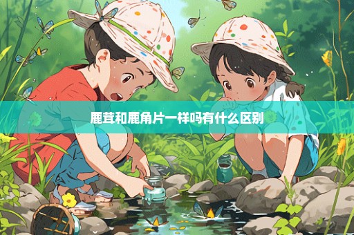 鹿茸和鹿角片一样吗有什么区别