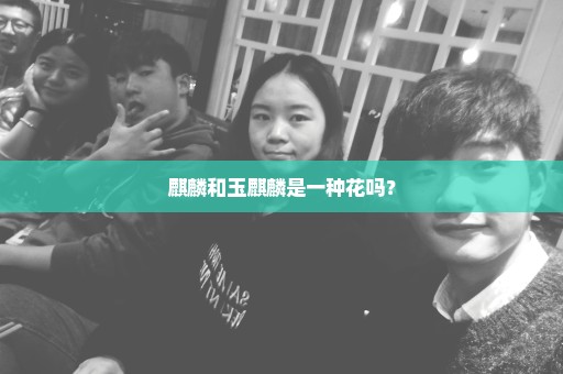 麒麟和玉麒麟是一种花吗？