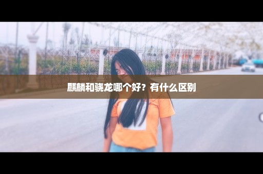 麒麟和骁龙哪个好？有什么区别