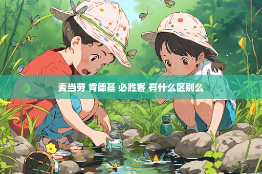 麦当劳 肯德基 必胜客 有什么区别么