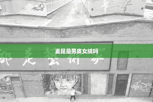 麦昆是男皮女绒吗