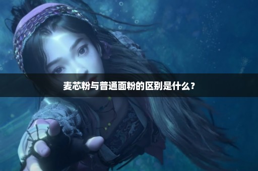 麦芯粉与普通面粉的区别是什么？