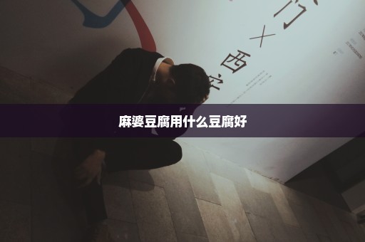 麻婆豆腐用什么豆腐好