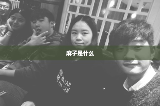 麻子是什么