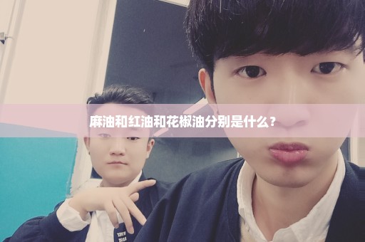 麻油和红油和花椒油分别是什么？