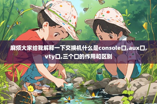 麻烦大家给我解释一下交换机什么是console口,aux口,vty口,三个口的作用和区别