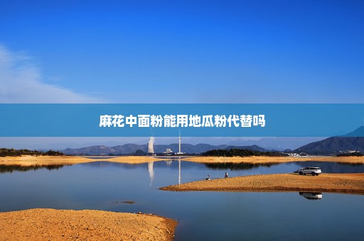 麻花中面粉能用地瓜粉代替吗