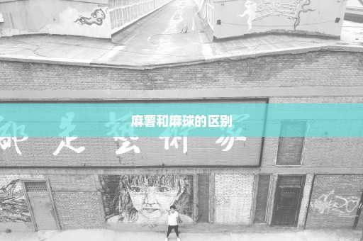 麻薯和麻球的区别