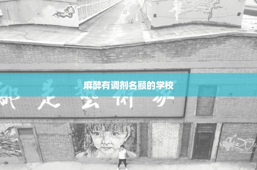 麻醉有调剂名额的学校