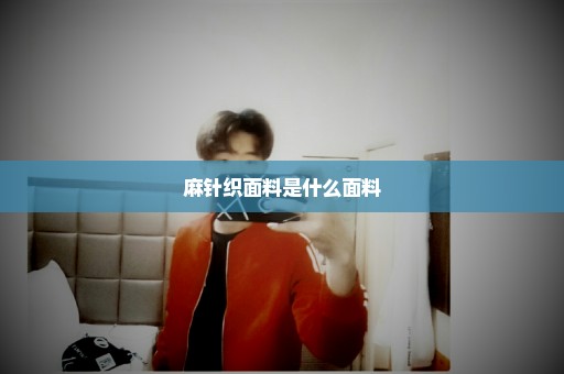 麻针织面料是什么面料