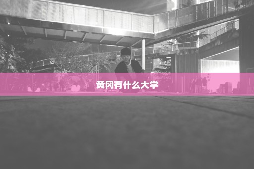 黄冈有什么大学