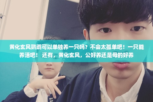 黄化玄风鹦鹉可以单独养一只吗？不会太孤单吧！一只能养活吧！ 还有，黄化玄风，公好养还是母的好养
