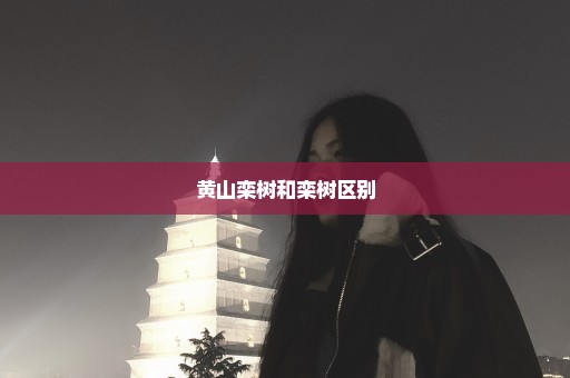 黄山栾树和栾树区别