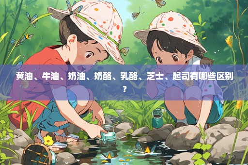 黄油、牛油、奶油、奶酪、乳酪、芝士、起司有哪些区别？