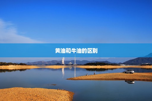 黄油和牛油的区别
