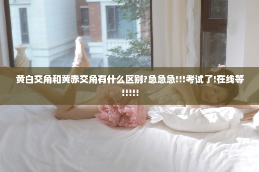 黄白交角和黄赤交角有什么区别?急急急!!!考试了!在线等!!!!!