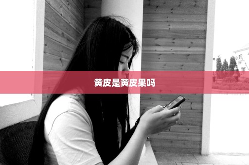 黄皮是黄皮果吗