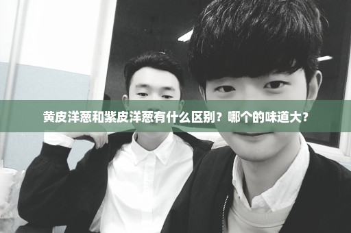 黄皮洋葱和紫皮洋葱有什么区别？哪个的味道大？